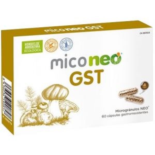 Miconeo GST