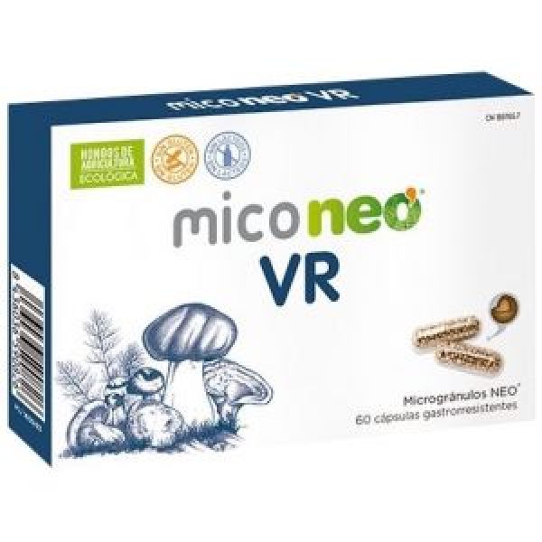 Miconeo VR